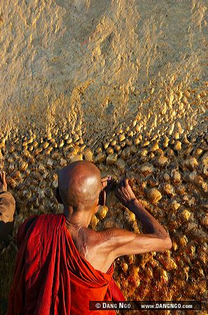 507382615_fc40f29eb5