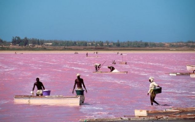 lago-rosa-dakar-634x397
